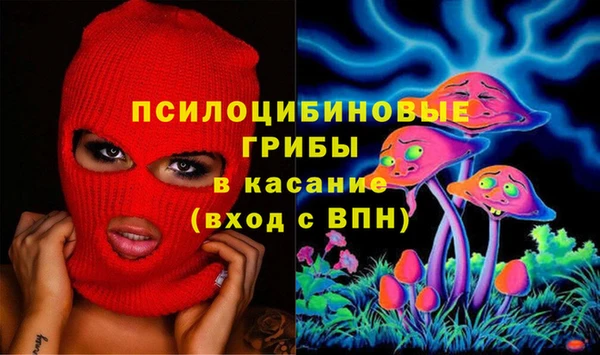 мяу мяу мука Арсеньев