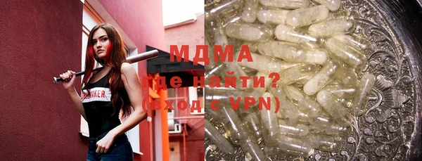 индика Новодвинск